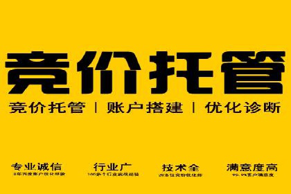 SEM服务托管实战：案例分析及策略探讨